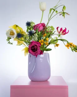 Joao Vase L Lila Rosa^Motel a Miio New
