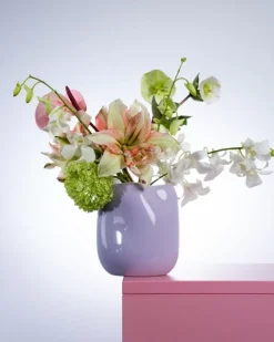 Joao Vase M Lila Rosa^Motel a Miio New