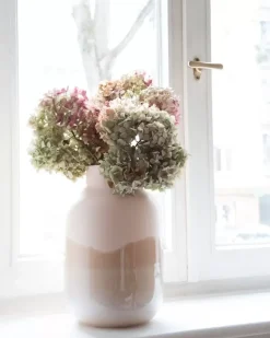 Nuno Vase L Sand^Motel a Miio Online