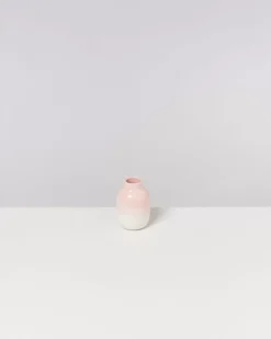 Nuno Vase S Rosa^Motel a Miio